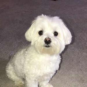 Meet your Posher, Lexy